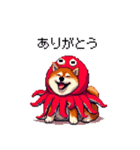 タコな太っちょ柴犬（個別スタンプ：7）