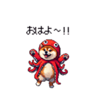 タコな太っちょ柴犬（個別スタンプ：9）