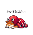 タコな太っちょ柴犬（個別スタンプ：10）