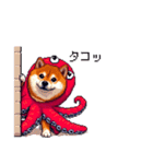 タコな太っちょ柴犬（個別スタンプ：11）