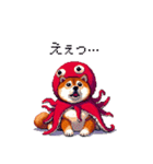 タコな太っちょ柴犬（個別スタンプ：13）