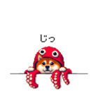 タコな太っちょ柴犬（個別スタンプ：16）