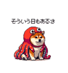 タコな太っちょ柴犬（個別スタンプ：20）
