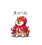 タコな太っちょ柴犬（個別スタンプ：21）