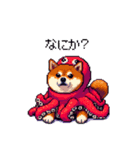 タコな太っちょ柴犬（個別スタンプ：28）
