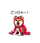 タコな太っちょ柴犬（個別スタンプ：32）