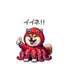 タコな太っちょ柴犬（個別スタンプ：34）