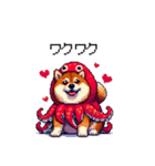 タコな太っちょ柴犬（個別スタンプ：35）