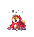 タコな太っちょ柴犬（個別スタンプ：37）