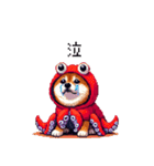 タコな太っちょ柴犬（個別スタンプ：38）
