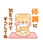 シニアの日常❤️いやしばいぬ❤️柴犬/敬語（個別スタンプ：5）