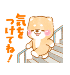 シニアの日常❤️いやしばいぬ❤️柴犬/敬語（個別スタンプ：7）