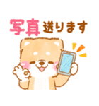 シニアの日常❤️いやしばいぬ❤️柴犬/敬語（個別スタンプ：19）