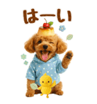 癒しプードルの気軽な敬語スタンプ【BIG】（個別スタンプ：3）