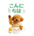 癒しプードルの気軽な敬語スタンプ【BIG】（個別スタンプ：7）