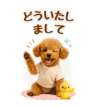 癒しプードルの気軽な敬語スタンプ【BIG】（個別スタンプ：12）