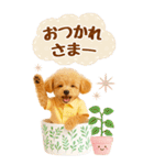 癒しプードルの気軽な敬語スタンプ【BIG】（個別スタンプ：13）