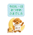 癒しプードルの気軽な敬語スタンプ【BIG】（個別スタンプ：15）