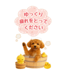 癒しプードルの気軽な敬語スタンプ【BIG】（個別スタンプ：17）