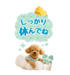 癒しプードルの気軽な敬語スタンプ【BIG】（個別スタンプ：18）