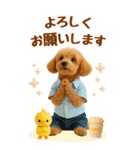 癒しプードルの気軽な敬語スタンプ【BIG】（個別スタンプ：19）