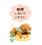 癒しプードルの気軽な敬語スタンプ【BIG】（個別スタンプ：24）