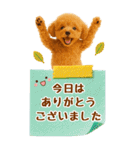 癒しプードルの気軽な敬語スタンプ【BIG】（個別スタンプ：31）
