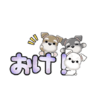 ミニチュアシュナウザー***でか文字（個別スタンプ：4）