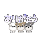 ミニチュアシュナウザー***でか文字（個別スタンプ：5）