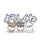 ミニチュアシュナウザー***でか文字（個別スタンプ：9）