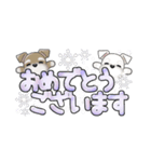 ミニチュアシュナウザー***でか文字（個別スタンプ：12）