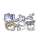 ミニチュアシュナウザー***でか文字（個別スタンプ：17）