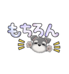 ミニチュアシュナウザー***でか文字（個別スタンプ：19）