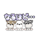ミニチュアシュナウザー***でか文字（個別スタンプ：23）
