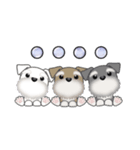 ミニチュアシュナウザー***でか文字（個別スタンプ：25）