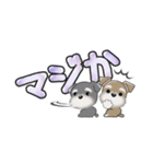 ミニチュアシュナウザー***でか文字（個別スタンプ：31）