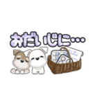 ミニチュアシュナウザー***でか文字（個別スタンプ：35）
