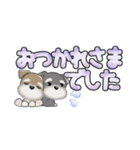 ミニチュアシュナウザー***でか文字（個別スタンプ：38）