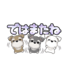 ミニチュアシュナウザー***でか文字（個別スタンプ：40）