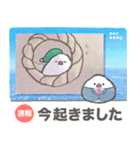 文鳥ニュース（個別スタンプ：1）