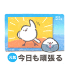 文鳥ニュース（個別スタンプ：2）