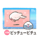 文鳥ニュース（個別スタンプ：3）