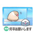 文鳥ニュース（個別スタンプ：7）