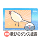文鳥ニュース（個別スタンプ：8）