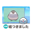 文鳥ニュース（個別スタンプ：12）