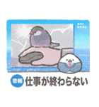 文鳥ニュース（個別スタンプ：22）