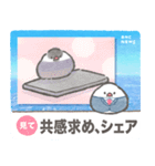 文鳥ニュース（個別スタンプ：26）