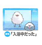 文鳥ニュース（個別スタンプ：27）