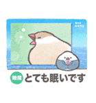 文鳥ニュース（個別スタンプ：28）
