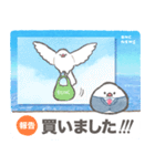 文鳥ニュース（個別スタンプ：30）